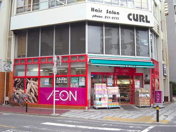 川崎区新築戸建 グルニエ リビング階段 都市ガス(まいばすけっと川崎さつき橋店)