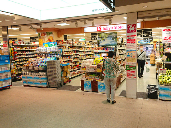 ライオンズマンション横浜第三#3面BL#9階部分(東急ストア横浜地下街店)