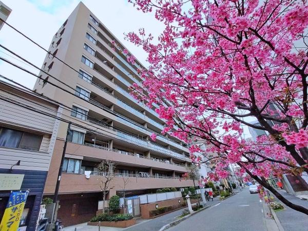 伊勢佐木南パークハウス壱番館　【リフォーム済】