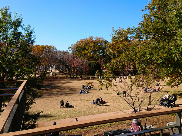 町田市鶴間6丁目の中古一戸建て(鶴間公園)