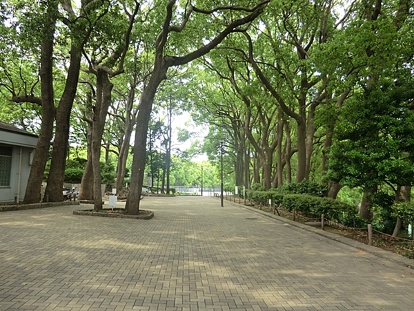 リブゼ横浜ビューステージ【最上階】【角部屋】(常盤公園)