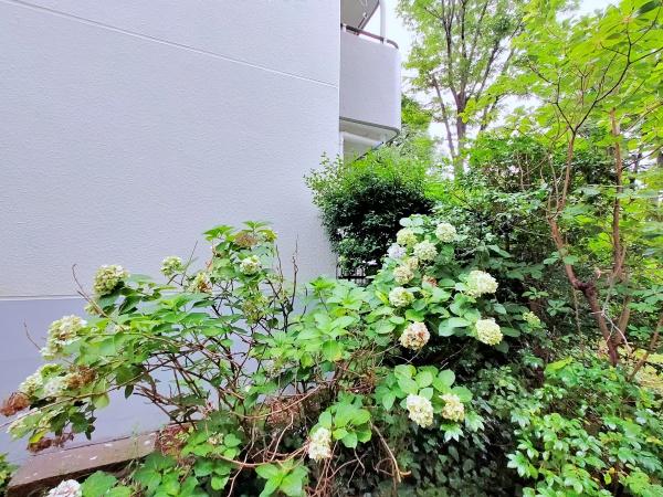 港北ニュータウンけやきが丘１０号棟