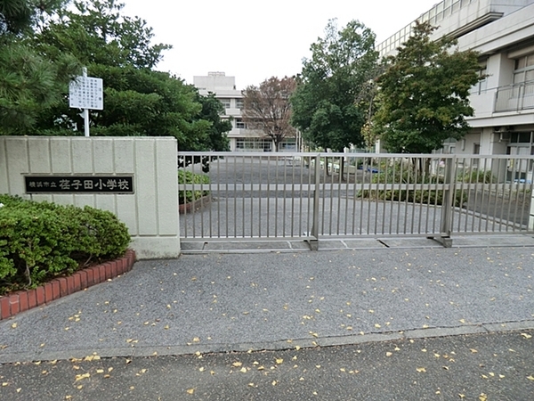 横浜市青葉区元石川町 新築分譲住宅 全6棟 3号棟(横浜市立荏子田小学校)