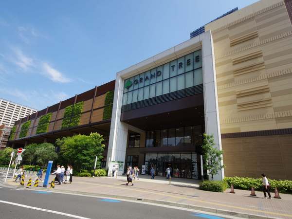 川崎市中原区井田中ノ町の中古一戸建て(グランツリー武蔵小杉)