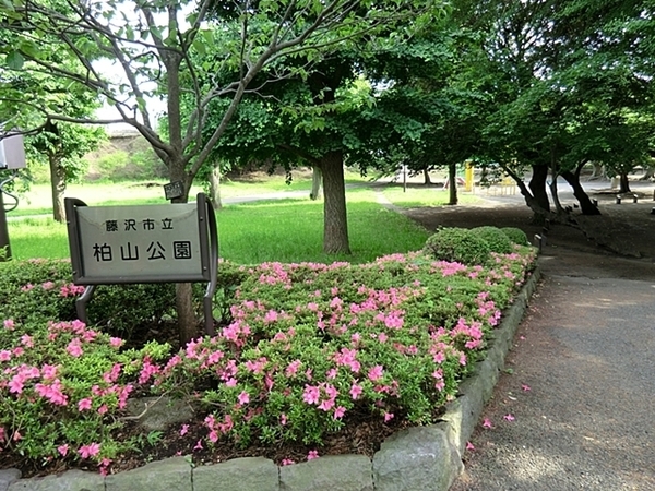 藤沢市稲荷1丁目の土地(柏山公園)