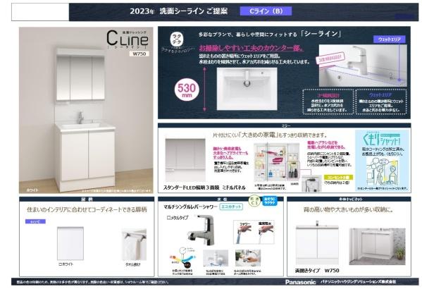 多摩区新築戸建　納戸×2　WICLDK21帖　南バルコニー