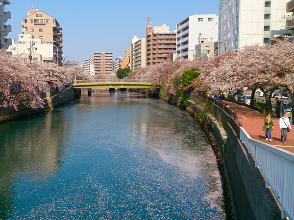 南区新築戸建LDK24帖WICパントリー(大岡川(白金橋から))