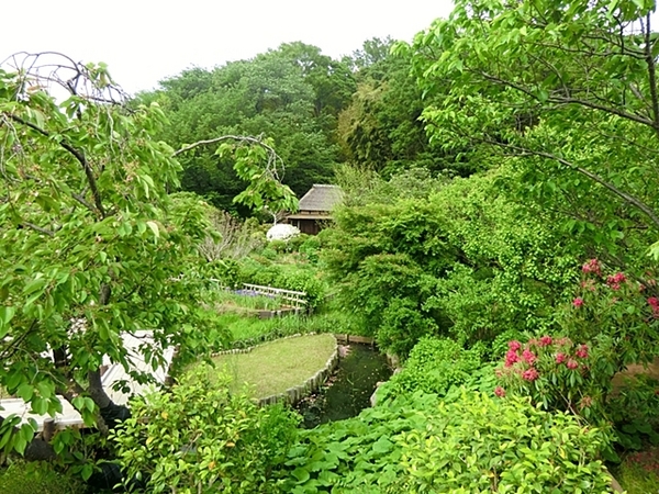横浜市鶴見区馬場2丁目の中古一戸建て(馬場花木園)
