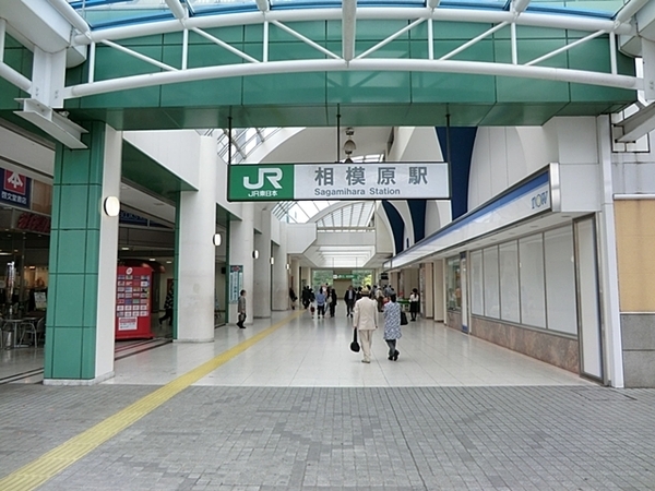 【3号棟】相模原市新築戸建LDK20帖WIC(横浜線 相模原駅)