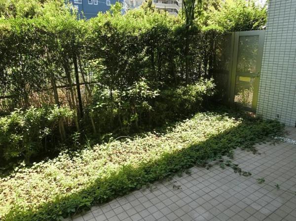 ジェイパレス宮崎台【WICテラス専用庭】