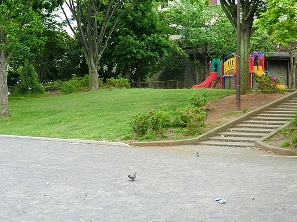 保土ヶ谷区新築戸建 カースぺ4台 WIC SIC パントリー(権太坂三丁目公園)