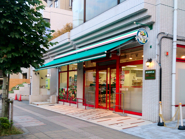 ダイアパレス三ツ沢公園東館(まいばすけっと三ツ沢上町駅東店)