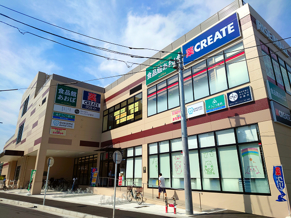 ダイアパレス三ツ沢公園東館(ライズモール常盤台)