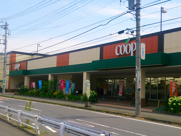 旭区新築戸建リビング19.6帖ロフト(ユーコープ白根店)