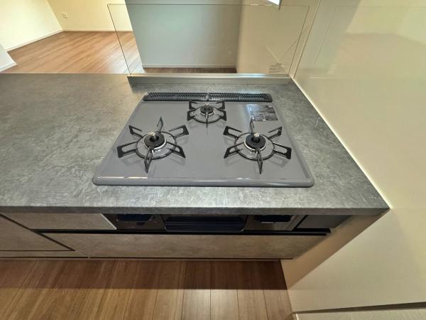 金澤区新築戸建　整形地広々51坪　リビング20帖　陽当り◎