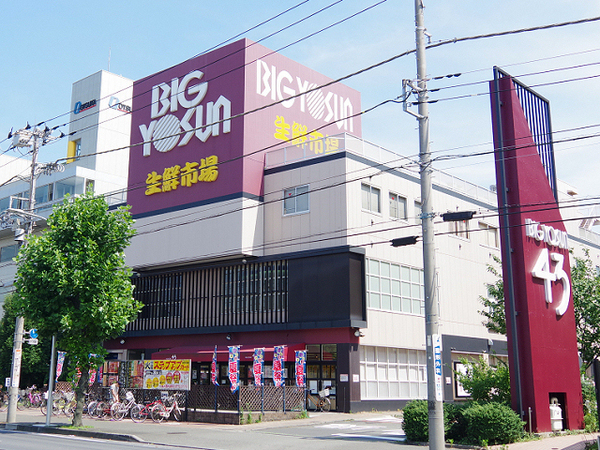 ザ・ハウス港北綱島【ペット飼育可】(ビッグヨーサン綱島樽町店)