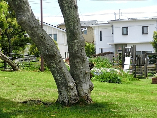 鎌倉市稲村ガ崎2丁目の土地(七里ガ浜東二丁目公園)