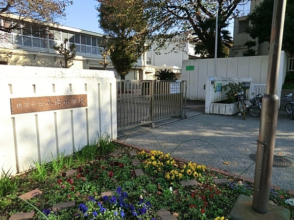横浜市港南区日野南4丁目の土地(横浜市立小坪小学校)