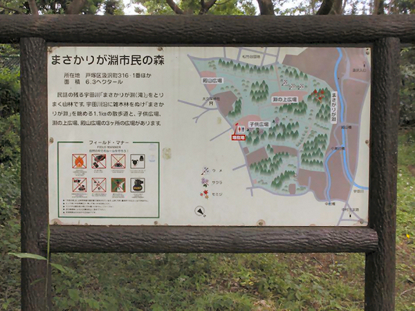 【A号棟】戸塚区新築戸建全2棟分譲住宅ルーフバルコニー(まさかりが淵市民の森)