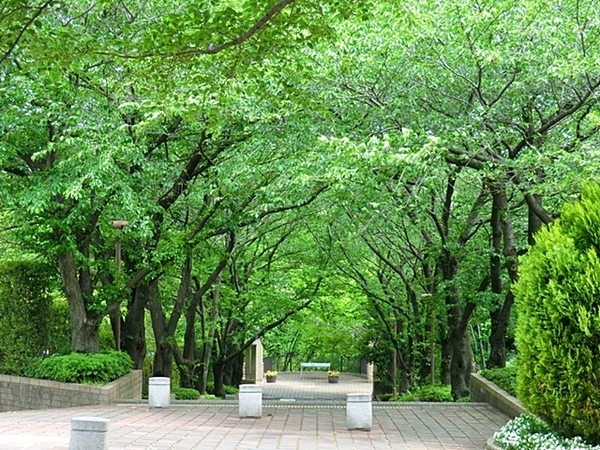 【B号棟】町田市新築戸建2台駐車可子育てグリーン住宅(芹が谷公園)