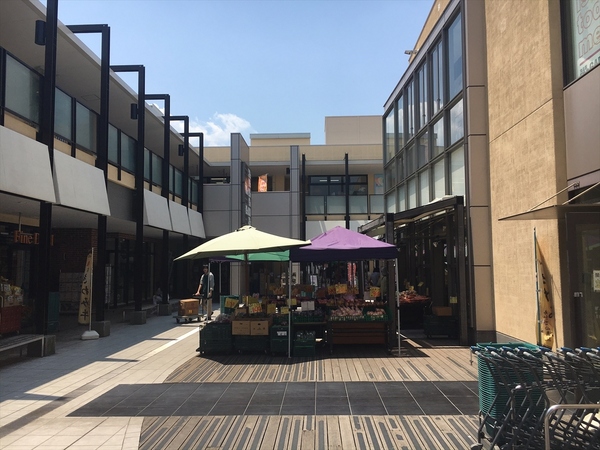 横浜市青葉区あざみ野１丁目の中古一戸建て(あざみ野三規庭)