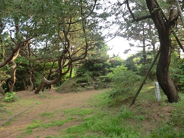 ライオンズマンション茅ヶ崎グランコースト(小和田浜公園)