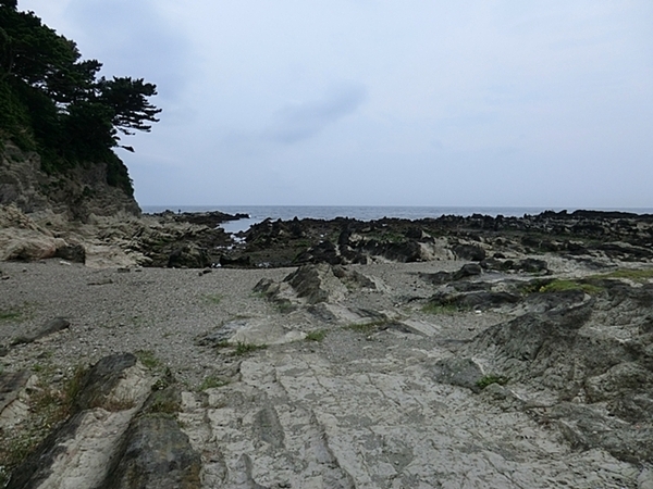 【1号棟】横須賀市新築戸建2台駐車可納戸(荒崎公園)