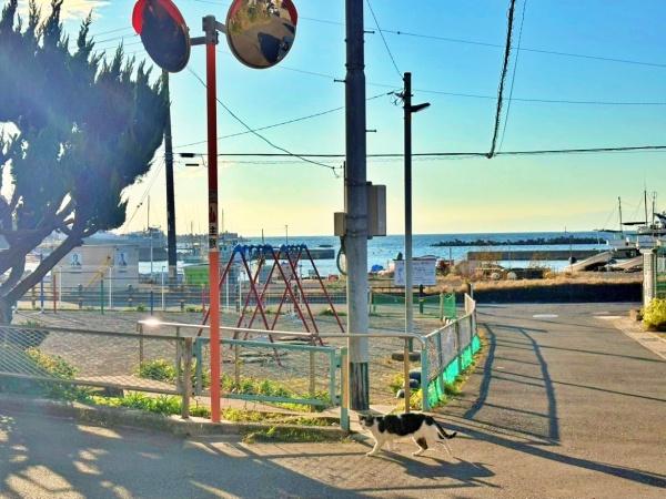 【1号棟】横須賀市新築戸建2台駐車可納戸