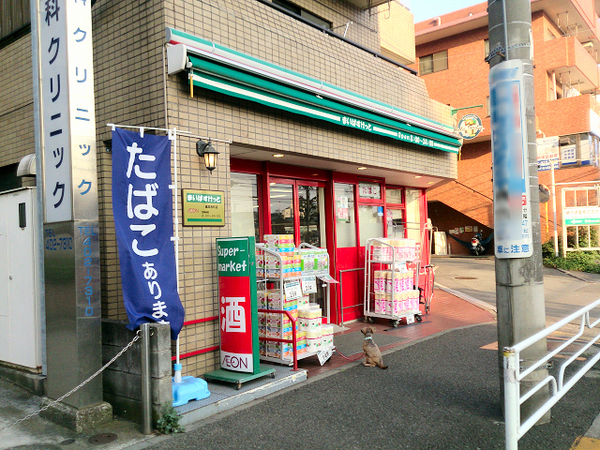 横浜市神奈川区六角橋６丁目の中古一戸建て(まいばすけっと篠原西町店)