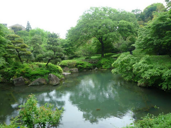 コスモ横浜鶴ヶ峰【徒9分南面バルコニー】(帷子川親水緑道)