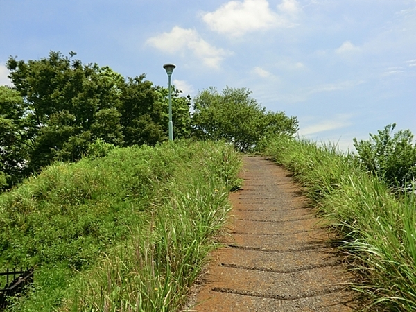 【D号棟】大和市新築戸建南面バルコニー(猪山公園)