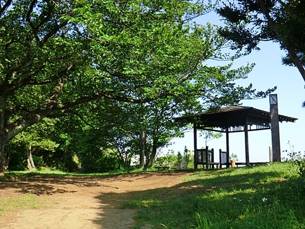 ヒルズ新百合ヶ丘専有面積100平米超(弘法松公園)
