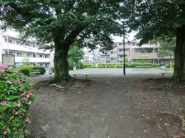 相模原市新築戸建スーパー歩1分WICLDK21帖以上(相模台４丁目公園)