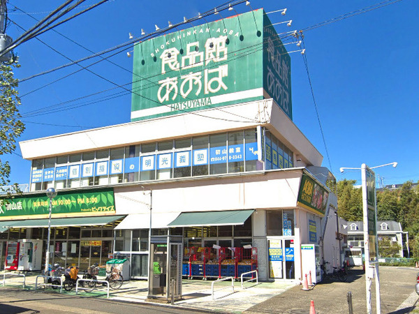 【1号棟】川崎市新築戸建2面バルコニー(食品館あおば初山店)