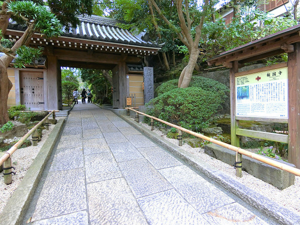 【1号棟】鎌倉市新築戸建LDK20帖超カースぺ2台(報国寺)