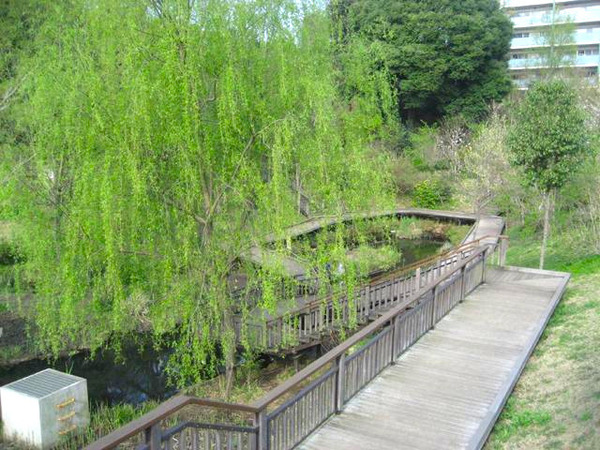 川崎市宮前区犬蔵２丁目の中古一戸建て(宮前美しの森公園)
