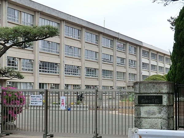 【3号棟】茅ケ崎市新築戸建ルーフバルコニーカースペース(茅ヶ崎市立梅田小学校)