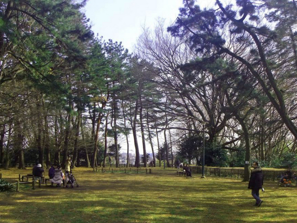 大倉山パークハイツ【フルリノベペット飼育可】(大倉山公園)