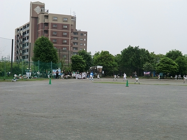 コスモ鶴見セジュール【3路線利用可】(元宮さわやか公園)