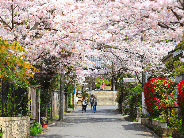 【2号棟】鎌倉市新築戸建SIC(浄明寺)