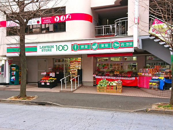 メディウス青葉台【専用庭ペット飼育可】(ローソンストア100青葉台駅前店)