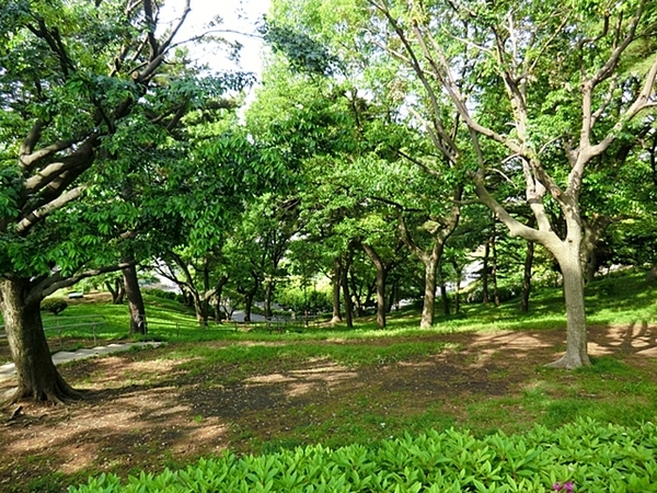 横浜市神奈川区神之木台の土地(神ノ木公園)