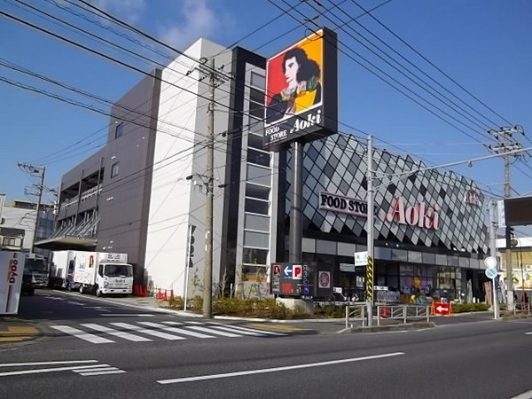 中区新築戸建ビルトイン車庫南面バルコニー(フードストアあおき横浜天神橋店)