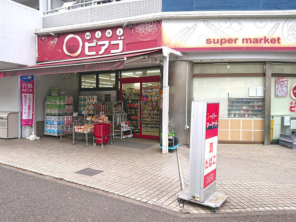 青葉区新築戸建吹抜駐車2台SICLDK21帖以上(miniピアゴみたけ台店)