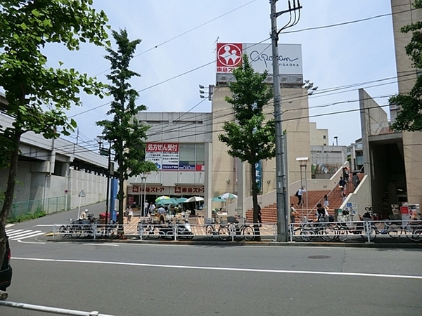 横浜市青葉区新築戸建　藤が丘駅徒歩5分　広々LDK　駐車2台(藤が丘東急ストア)