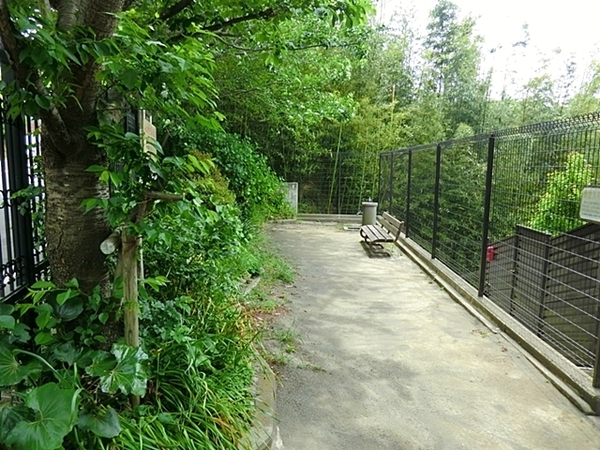 鎌倉市津の中古一戸建て(鎌倉山かりん公園)