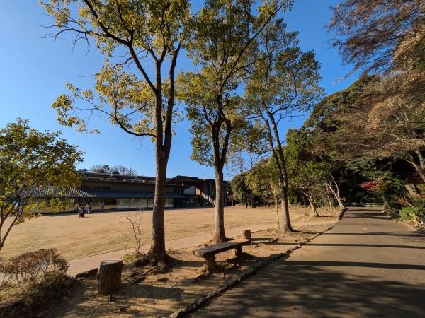 大田区田園調布１丁目の中古一戸建て