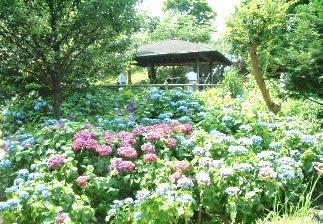 大田区田園調布１丁目の中古一戸建て