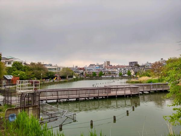 セザール長原(小池公園)