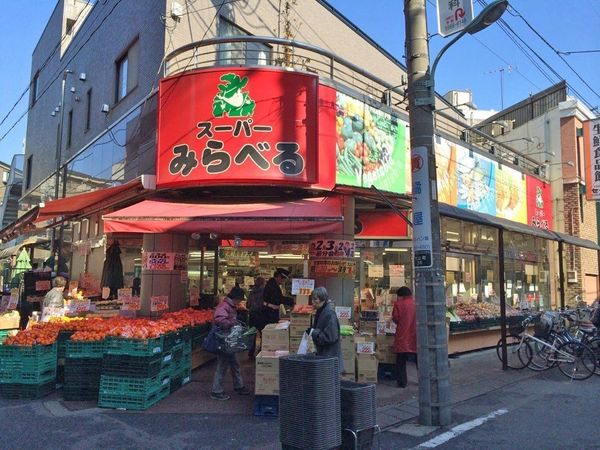グリーンパークドルミ大山(スーパーみらべる大山店)